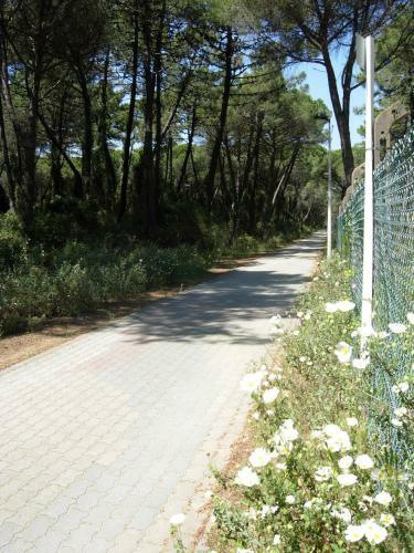 Apartamento Residence Marebl�
