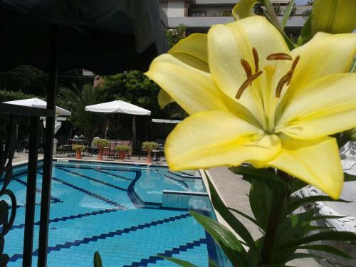 Hotel Villa Rita