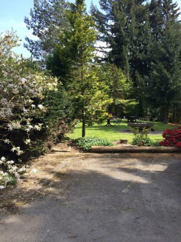 Hostal Pension Haus Am Hirschsprung