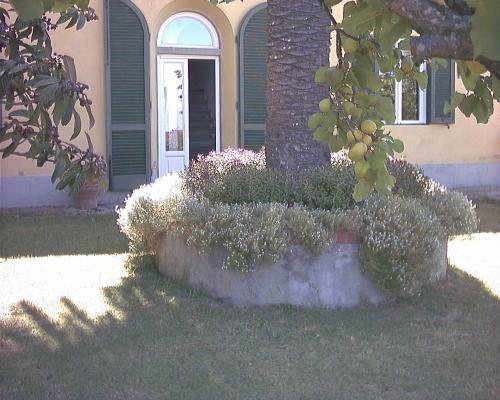 Agroturismo B&B Villa Panicucci
