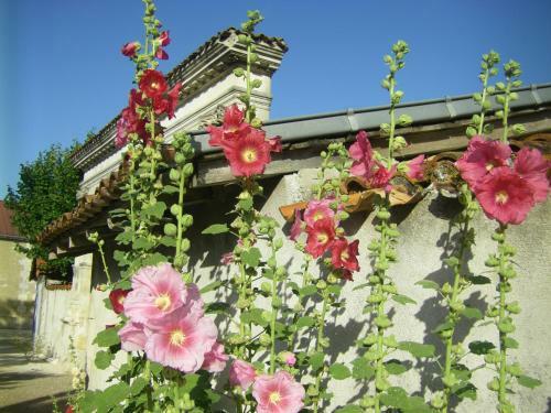Bed & Breakfast Chambre D'h�tes Clos Des Pierres Blanches