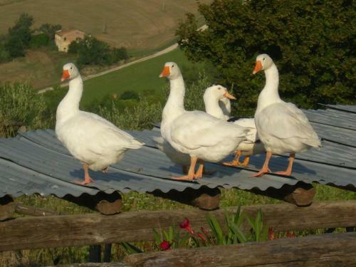 Agroturismo C'era UNA Volta