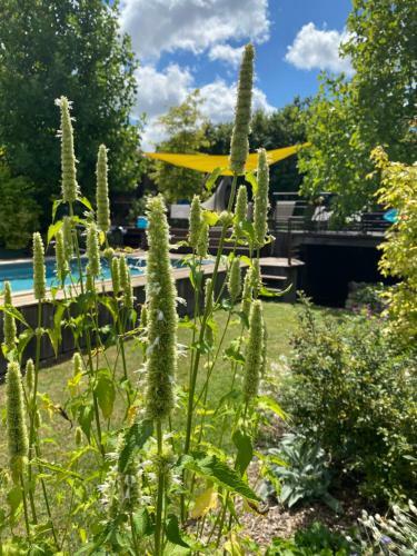 Bed & Breakfast L'ecole Des Gar�ons