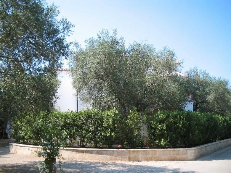 Hostal Tenuta Belvedere