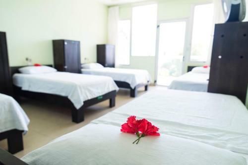 Room2board Hostel And Surf School