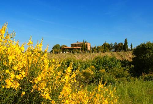 Agroturismo Tenuta Santagnese