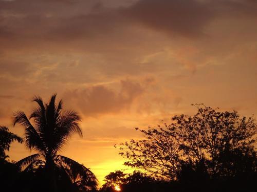 Hotel Veragua River House.