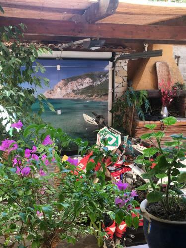 B&B Domus De Janas