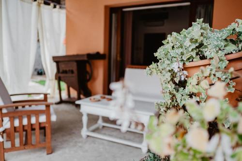 B&B All'antico Brolo