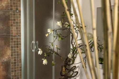 Bed & Breakfast Palazzo Delle Viole