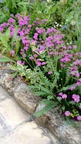 Bed & Breakfast Chambres D'h�tes Le Bourdieu