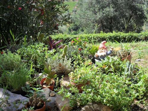 Bed & Breakfast Locanda Del Grillo