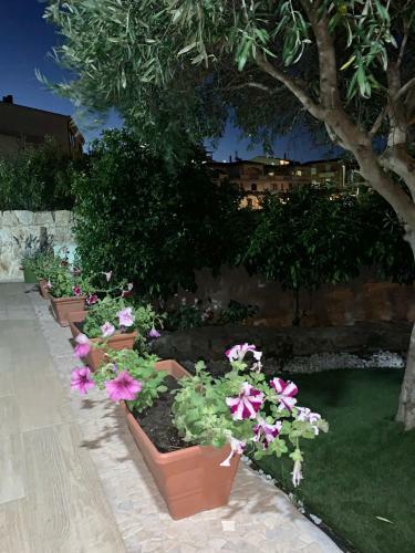 B&B Villa Le Boungaville