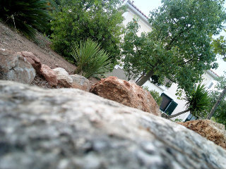 Acroploro