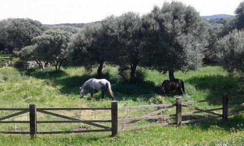Agroturismo L' Incantu