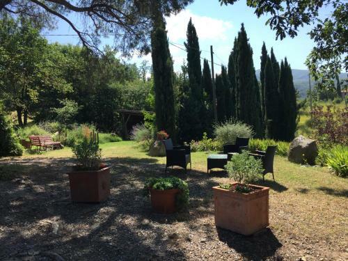 Bed & Breakfast Podere Pinzicalari