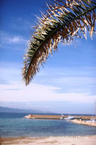 Apartamento Appartamenti Mare Blu