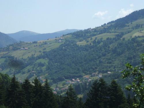 Bed & Breakfast La Ferme Du Vieux Sapin