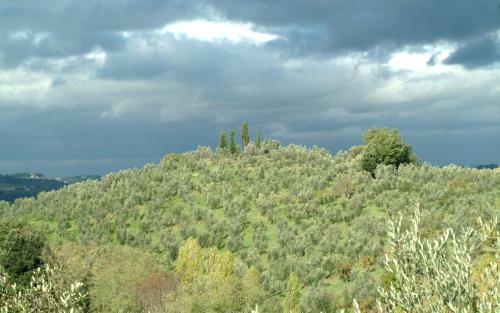 Agroturismo Il Borghetto Country Inn