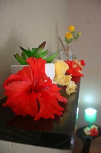 Hostal Hotel Perico Azul