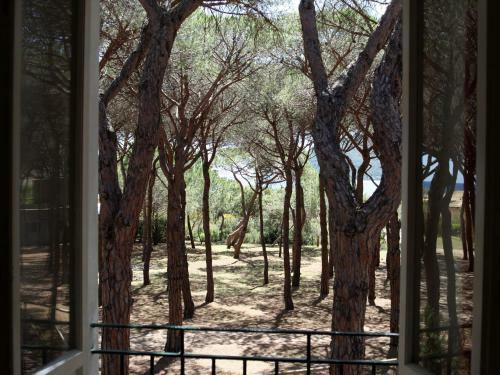 Hotel Villa Nettuno
