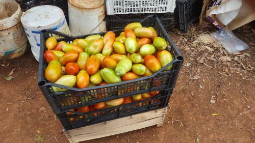 Agroturismo Tenutaverde