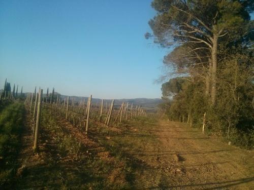 Agroturismo Argiano Posta L'orciaia
