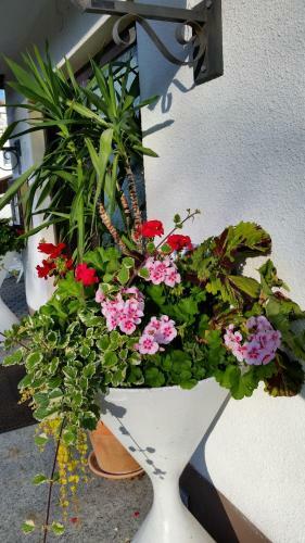 Hotel-pension Dressel