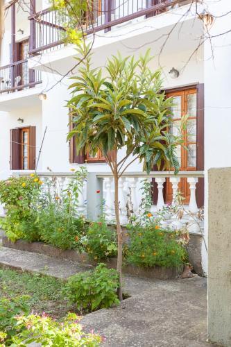 Apartamento Platanakia