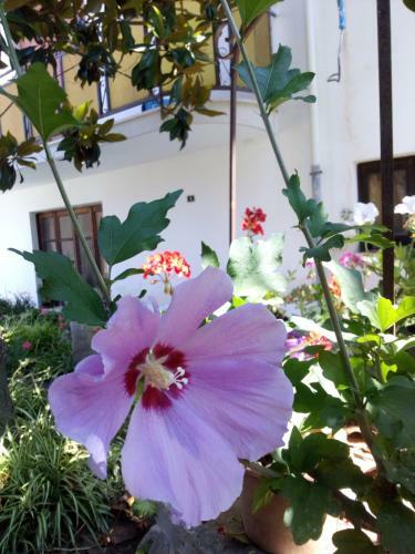 Apartamento Casa Vacanze Terme
