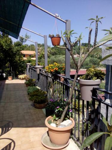 Apartamento Casa Vacanze Terme
