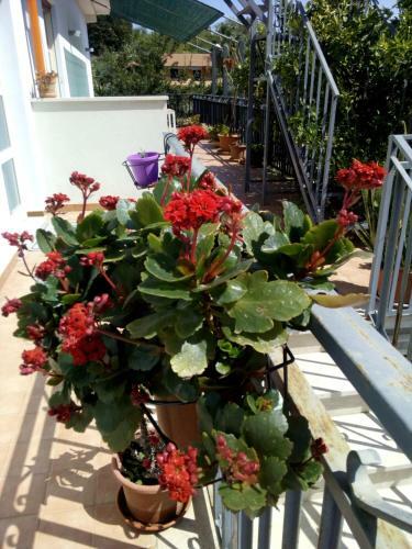 Apartamento Casa Vacanze Terme