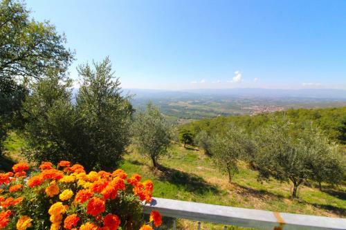 Apartamento Albanella Casavecchia