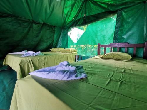 Corcovado Adventures Tent Camp