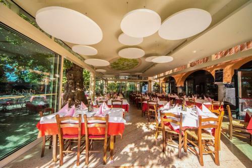 Hotel Albergo Al Platano