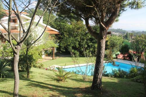 Cork Tree Villa