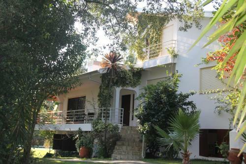 Cork Tree Villa
