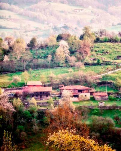 Agroturismo La Casona De Con