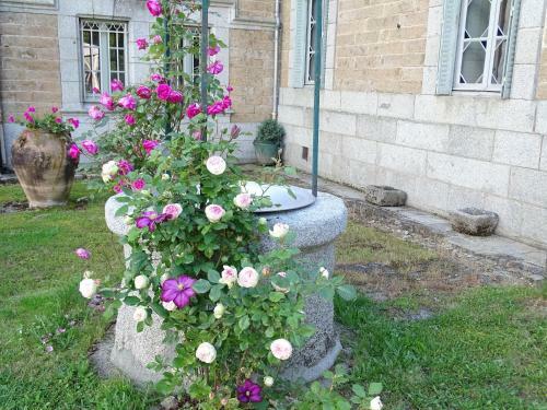 Bed & Breakfast Ch�teau De Crocq - Chambres D'h�tes De Charme