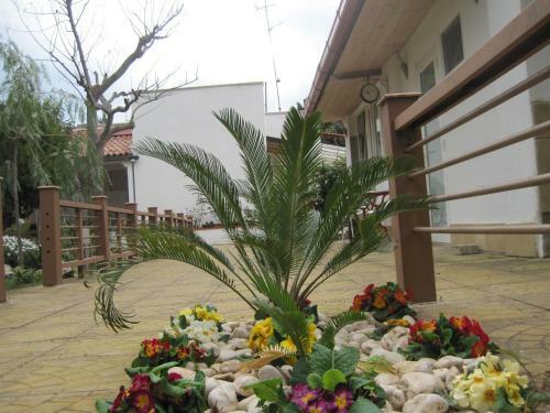 Santos B&B