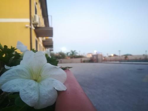 Bed & Breakfast I Colori Dell'etna