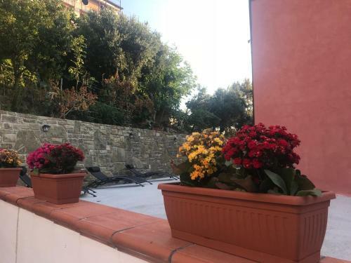 Bed & Breakfast Cilento