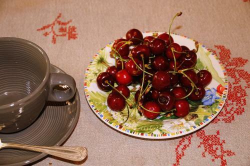Bed & Breakfast Chambre D'h�tes Domaine de La P�pini�re