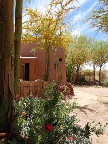 Casa Jard�n