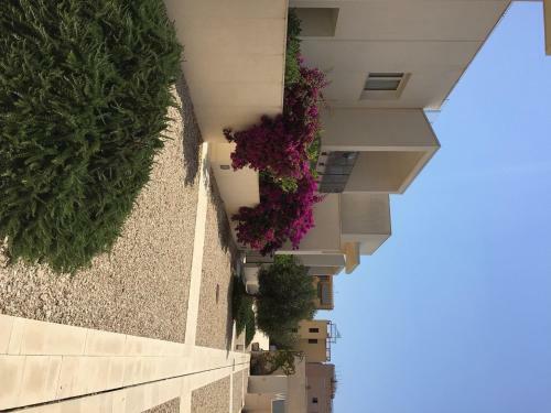 Apartamento Cala Palme