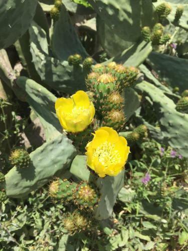 B&B Terre Di Sicilia