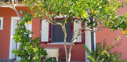 Hostal Affittacamere San Carlo