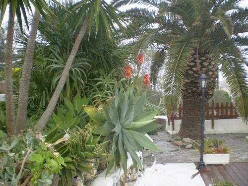 Apartamento L'incanto Di Cala Feola