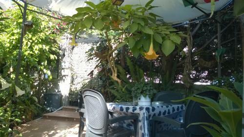 B&B Mare E Sole