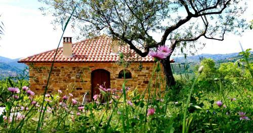 Agroturismo Villa Nigro